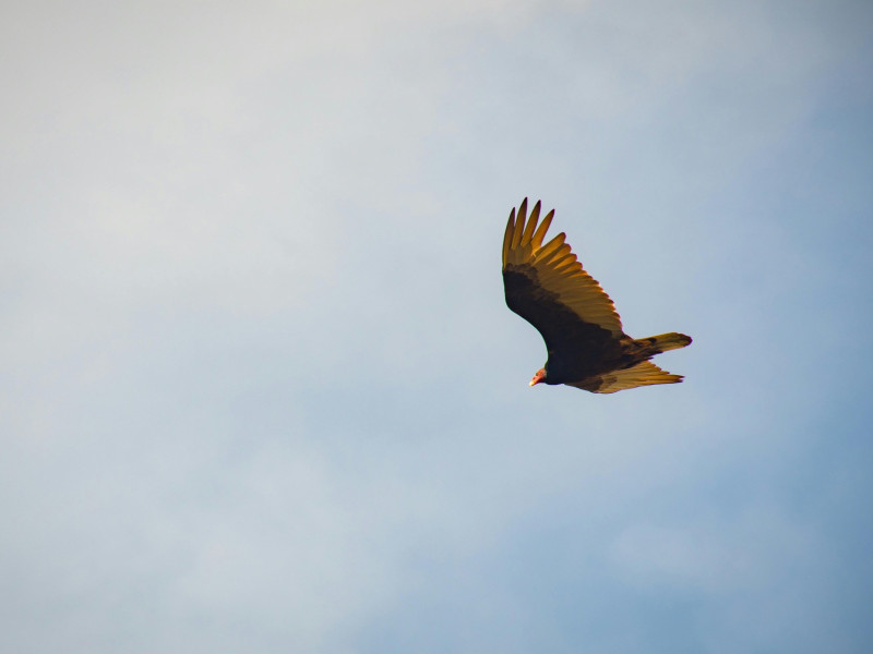 Aktuell &ndash; Ausgabe 364 vom 25. September 2025